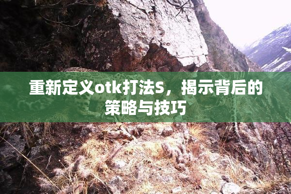 重新定义otk打法S，揭示背后的策略与技巧