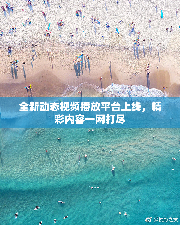 全新动态视频播放平台上线，精彩内容一网打尽