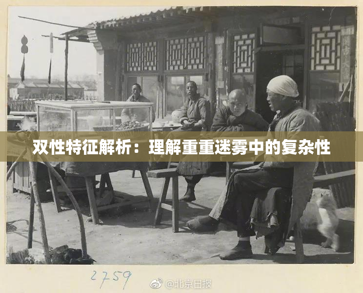 双性特征解析：理解重重迷雾中的复杂性