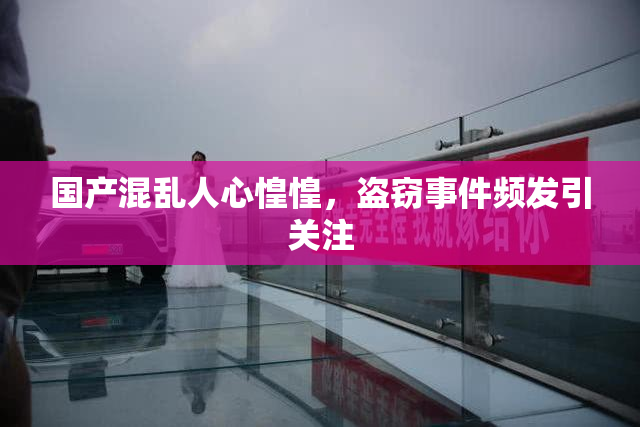 国产混乱人心惶惶，盗窃事件频发引关注