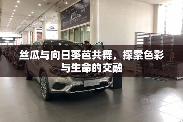 丝瓜与向日葵芭共舞，探索色彩与生命的交融