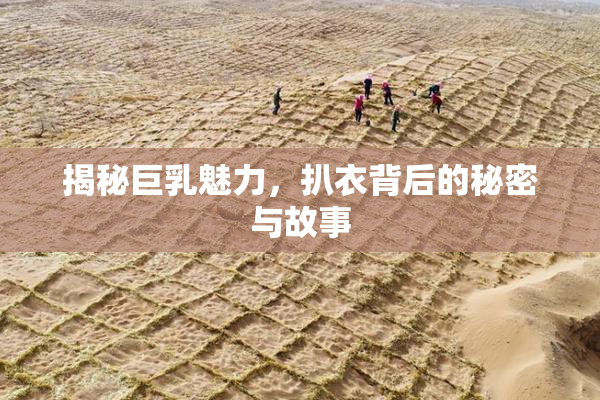 揭秘巨乳魅力，扒衣背后的秘密与故事