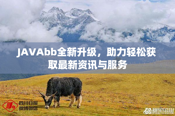 JAVAbb全新升级，助力轻松获取最新资讯与服务