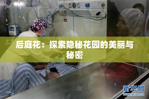 后庭花：探索隐秘花园的美丽与秘密