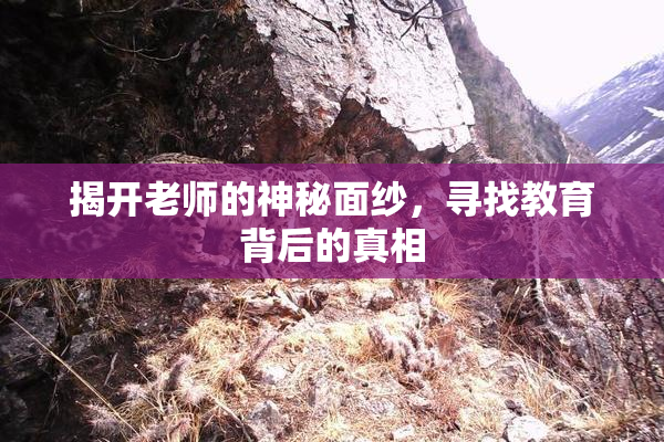 揭开老师的神秘面纱，寻找教育背后的真相