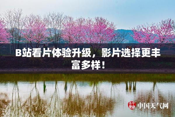 B站看片体验升级，影片选择更丰富多样！