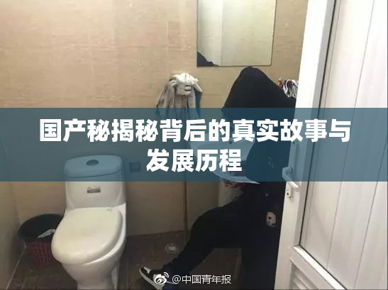 国产秘揭秘背后的真实故事与发展历程