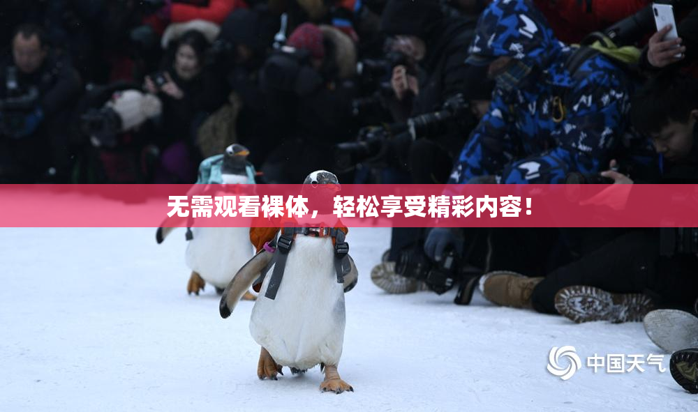 无需观看裸体，轻松享受精彩内容！