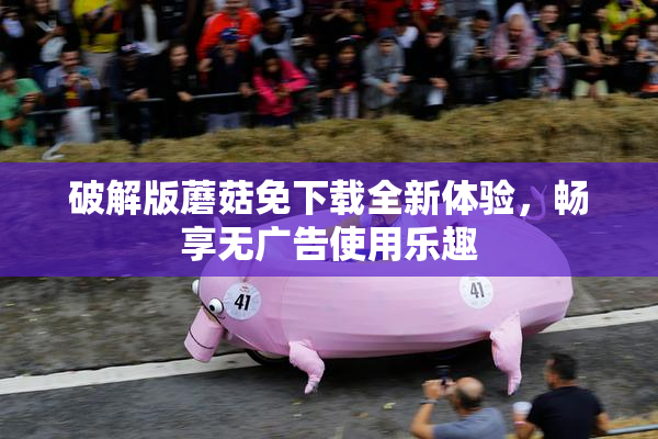 破解版蘑菇免下载全新体验，畅享无广告使用乐趣