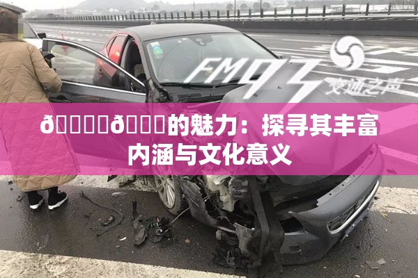 🔞‌🍌的魅力：探寻其丰富内涵与文化意义