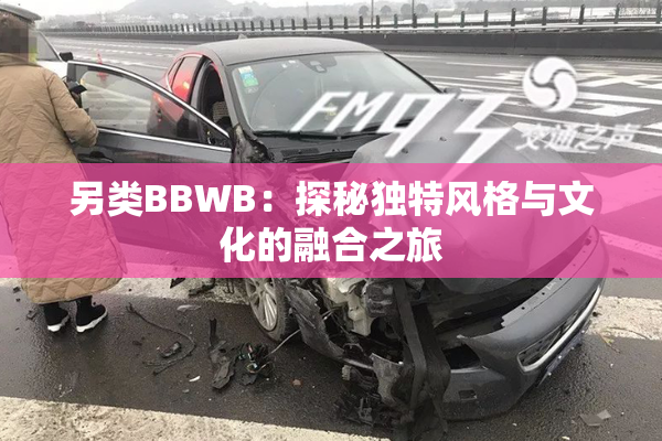 另类BBWB：探秘独特风格与文化的融合之旅