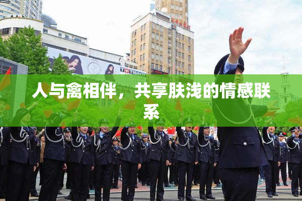 人与禽相伴，共享肤浅的情感联系