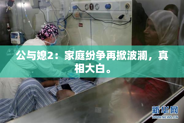公与媳2：家庭纷争再掀波澜，真相大白。