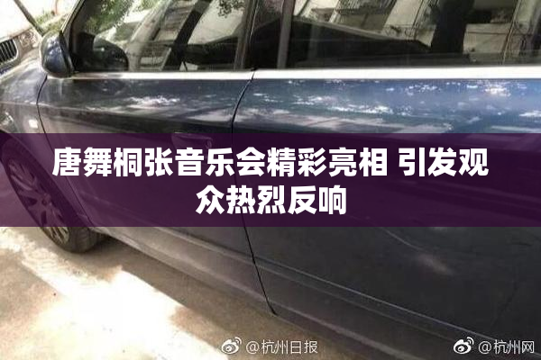 唐舞桐张音乐会精彩亮相 引发观众热烈反响