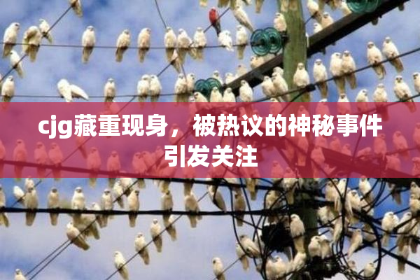 cjg藏重现身，被热议的神秘事件引发关注