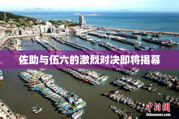佐助与伍六的激烈对决即将揭幕