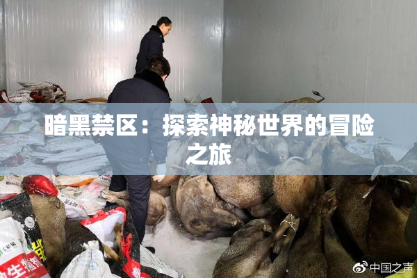 暗黑禁区：探索神秘世界的冒险之旅