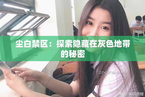 尘白禁区：探索隐藏在灰色地带的秘密