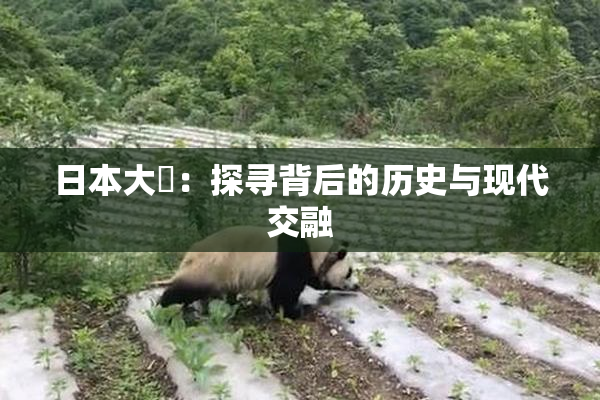 日本大隂：探寻背后的历史与现代交融