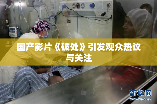 国产影片《破处》引发观众热议与关注
