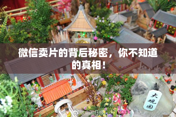 微信卖片的背后秘密，你不知道的真相！