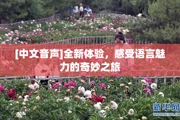 [中文音声]全新体验，感受语言魅力的奇妙之旅