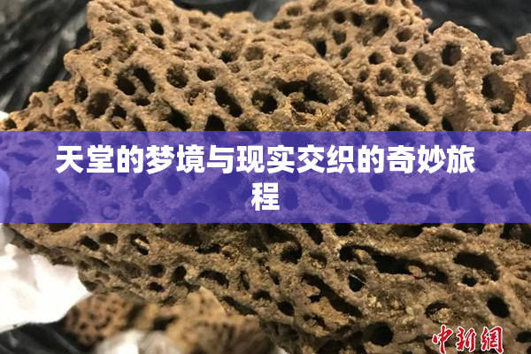 天堂的梦境与现实交织的奇妙旅程