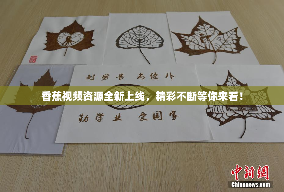 香蕉视频资源全新上线，精彩不断等你来看！