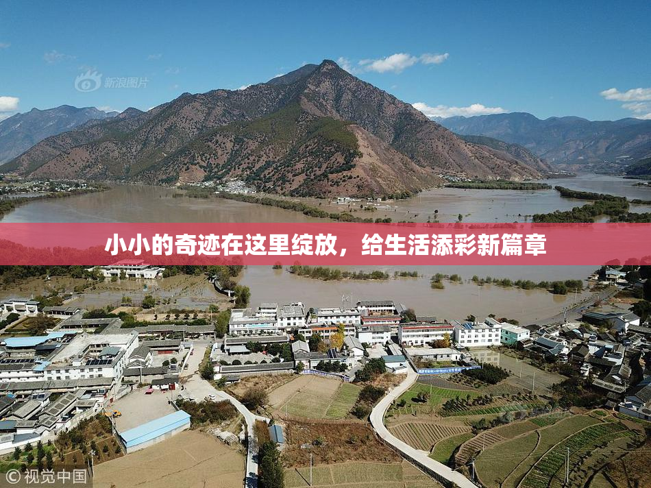 小小的奇迹在这里绽放，给生活添彩新篇章