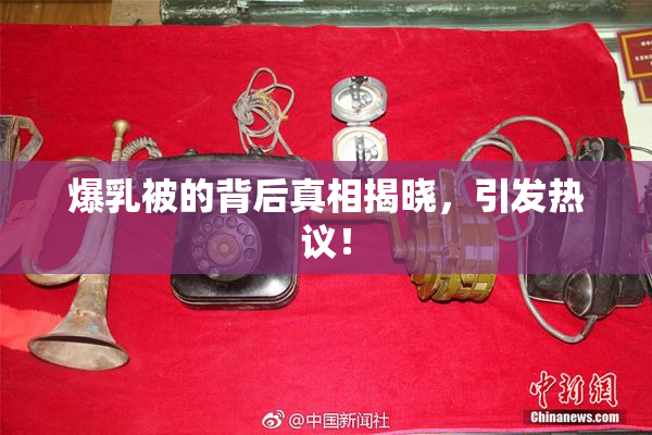 爆乳被的背后真相揭晓，引发热议！
