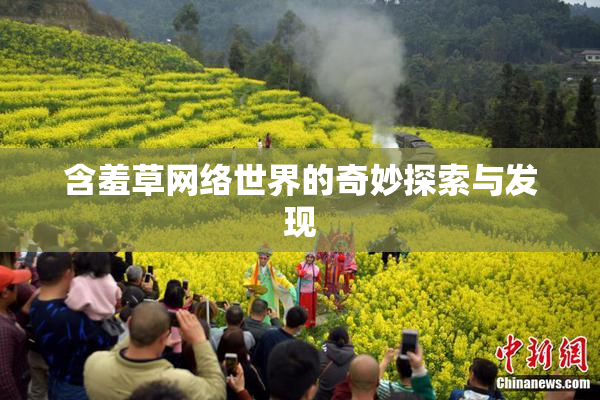 含羞草网络世界的奇妙探索与发现
