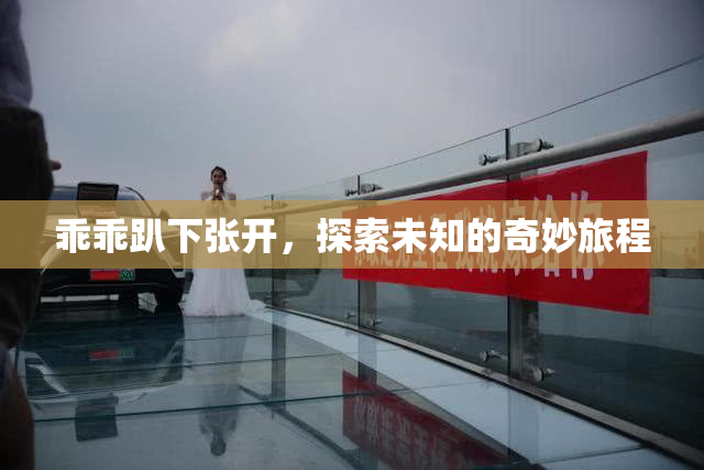 乖乖趴下张开，探索未知的奇妙旅程