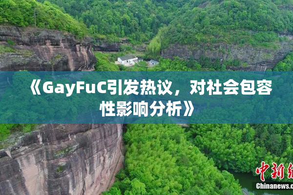 《GayFuC引发热议，对社会包容性影响分析》
