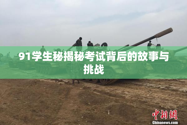 91学生秘揭秘考试背后的故事与挑战