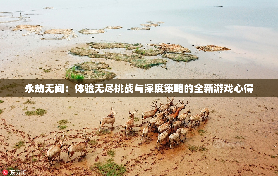 永劫无间：体验无尽挑战与深度策略的全新游戏心得