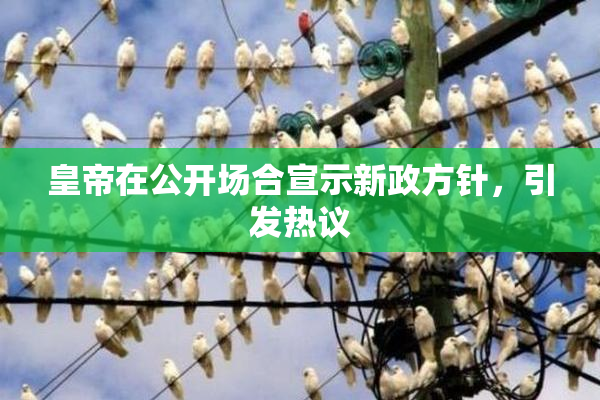皇帝在公开场合宣示新政方针，引发热议