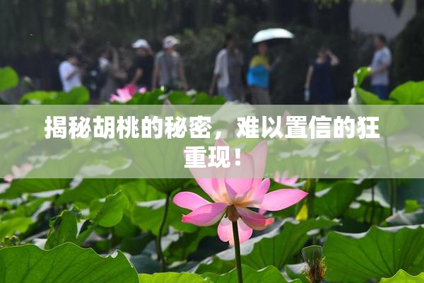 揭秘胡桃的秘密，难以置信的狂重现！