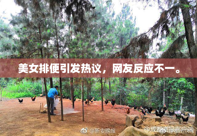 美女排便引发热议，网友反应不一。