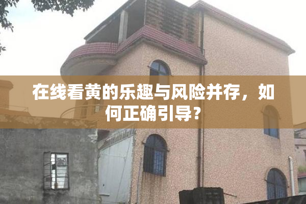在线看黄的乐趣与风险并存，如何正确引导？