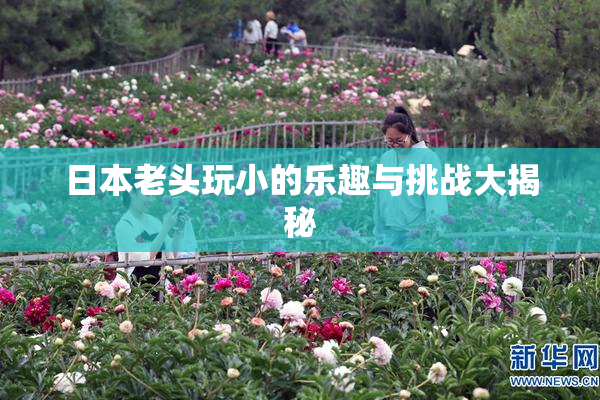 日本老头玩小的乐趣与挑战大揭秘