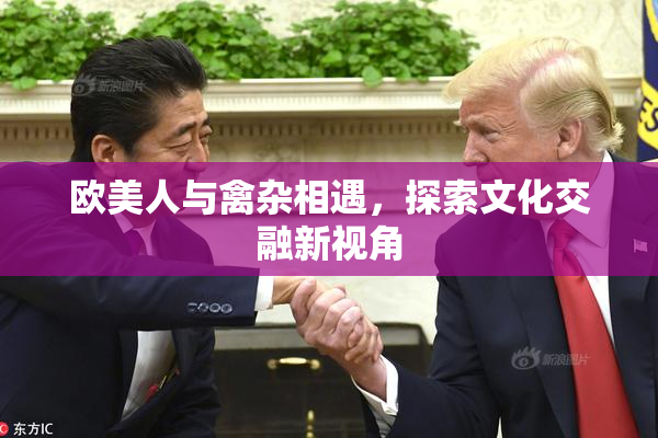欧美人与禽杂相遇，探索文化交融新视角