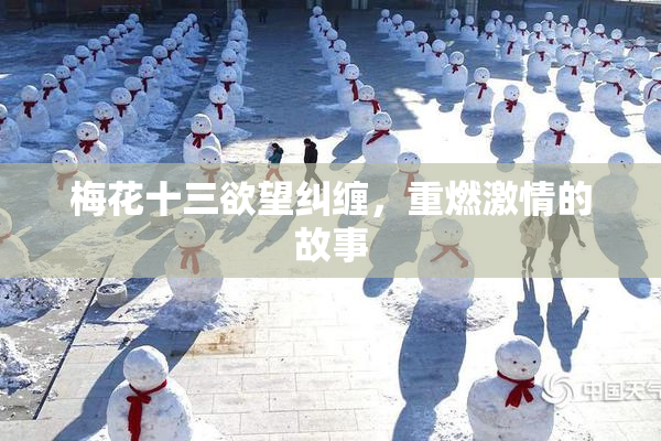 梅花十三欲望纠缠，重燃激情的故事