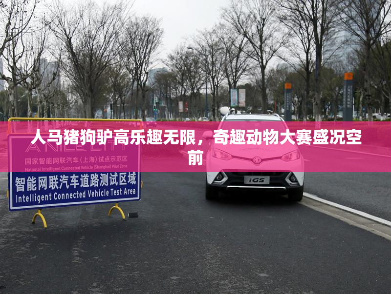 人马猪狗驴高乐趣无限，奇趣动物大赛盛况空前