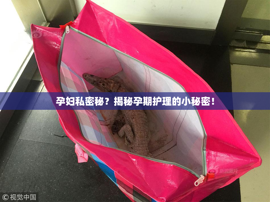 孕妇私密秘？揭秘孕期护理的小秘密！