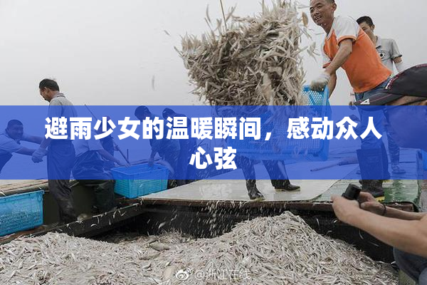 避雨少女的温暖瞬间，感动众人心弦