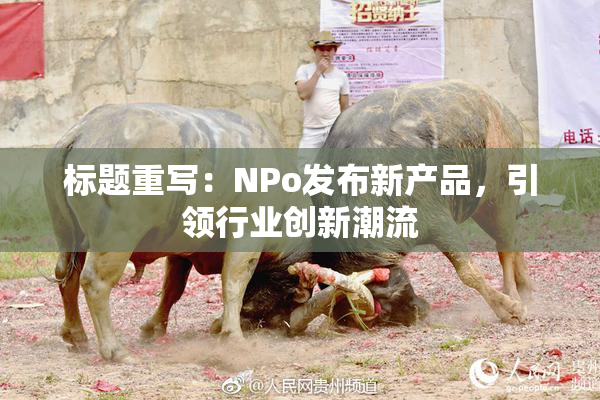 标题重写：ΝPo发布新产品，引领行业创新潮流