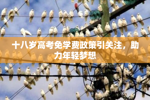 十八岁高考免学费政策引关注，助力年轻梦想