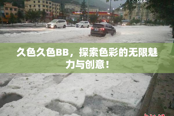 久色久色BB，探索色彩的无限魅力与创意！