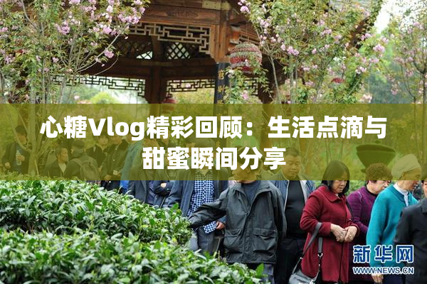 心糖Vlog精彩回顾：生活点滴与甜蜜瞬间分享
