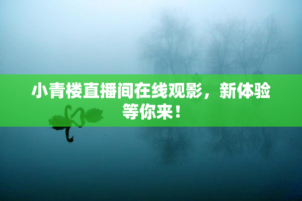 小青楼直播间在线观影，新体验等你来！
